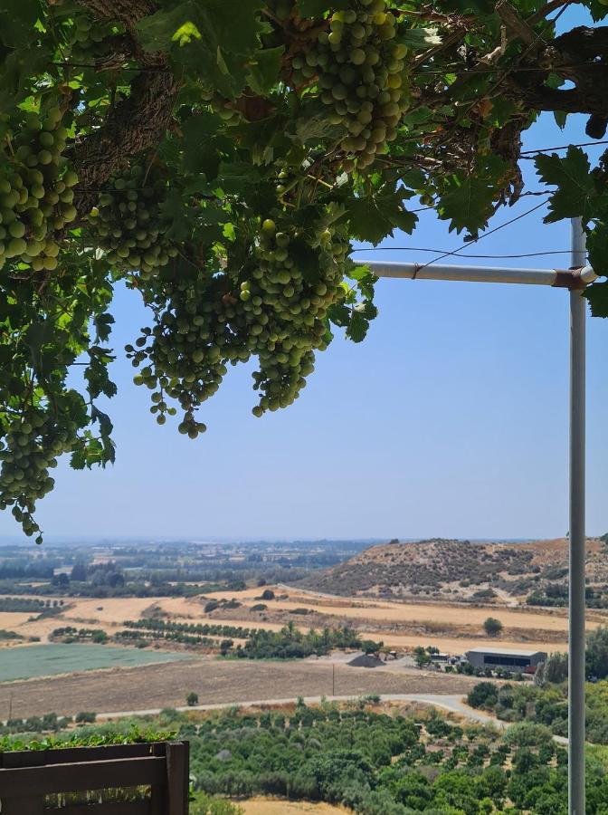 Arodafni House. Unique Views And Amazing Sunsets. Kouklia Exteriér fotografie