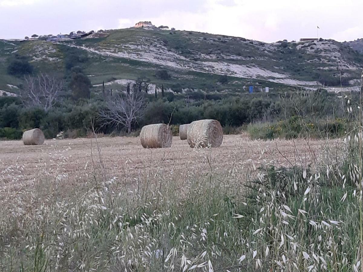 Arodafni House. Unique Views And Amazing Sunsets. Kouklia Exteriér fotografie